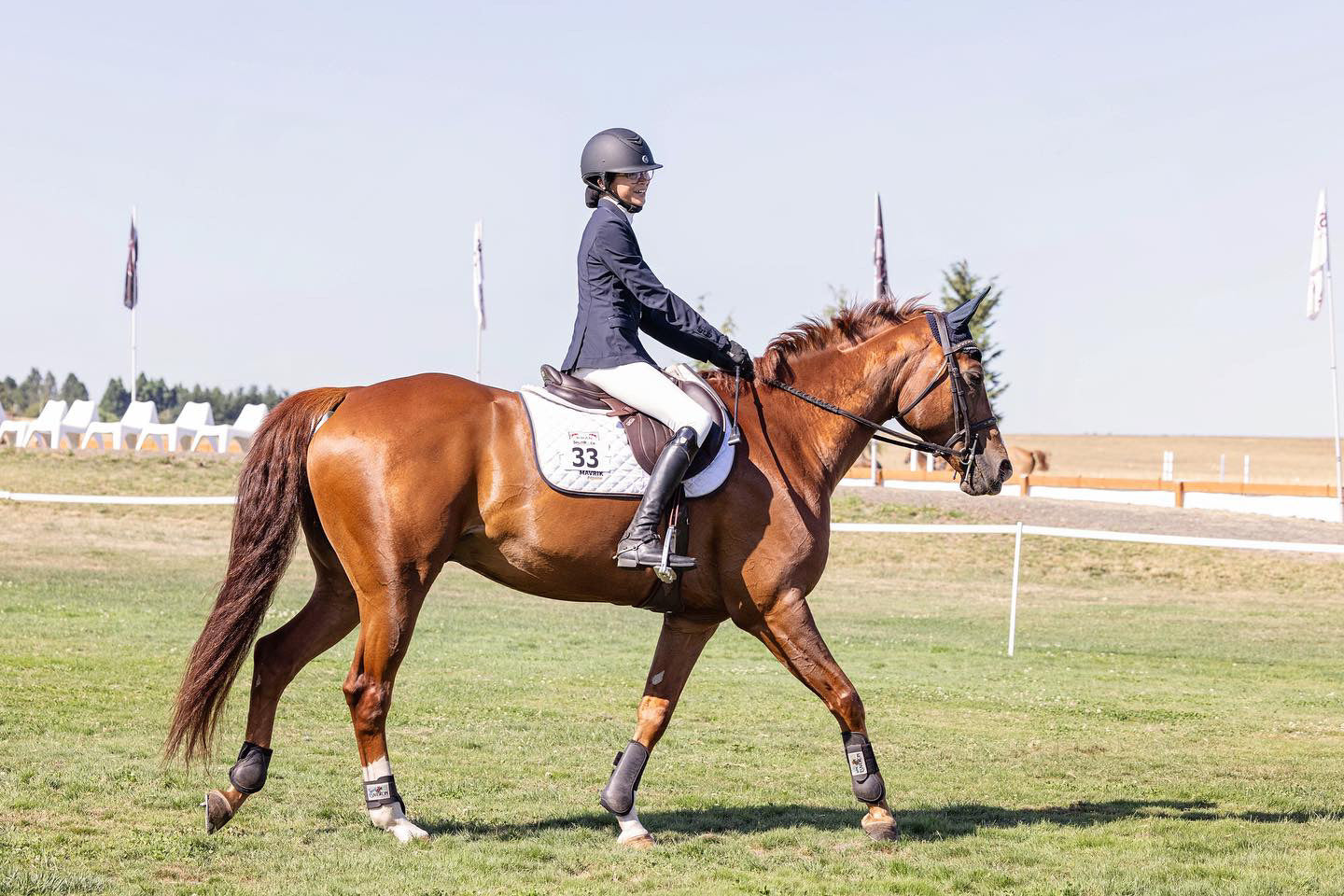 Horse with shiney healthy coat skin and hooves| Hoof Oil and Body Spray used daily