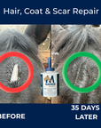 MAVRIK Hair, Coat and Scar Repair | Hair Regrowth Oil