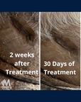 MAVRIK Hoof Oil | Kills Thrush Guaranteed