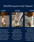 MAVRIK Hair, Coat and Scar Repair | Hair Regrowth Oil