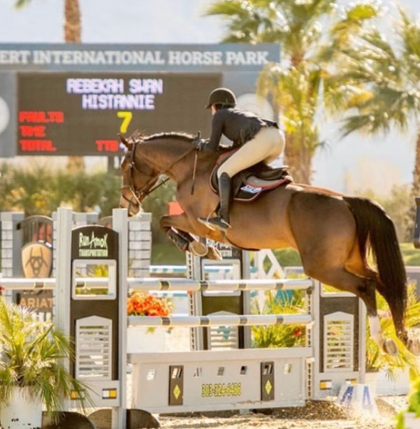 Beka Swan of Swan Training| Competing at Desert International Horse Park