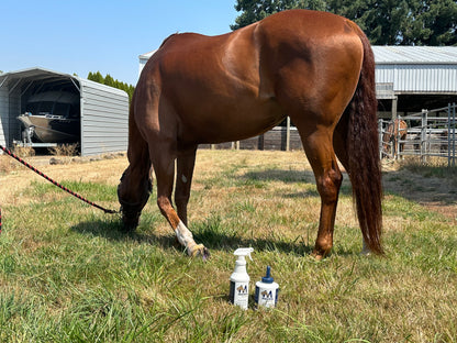 Good Stuff™ Multipurpose Spray | Kills Scratches and Thrush and Sweet Itch Guaranteed